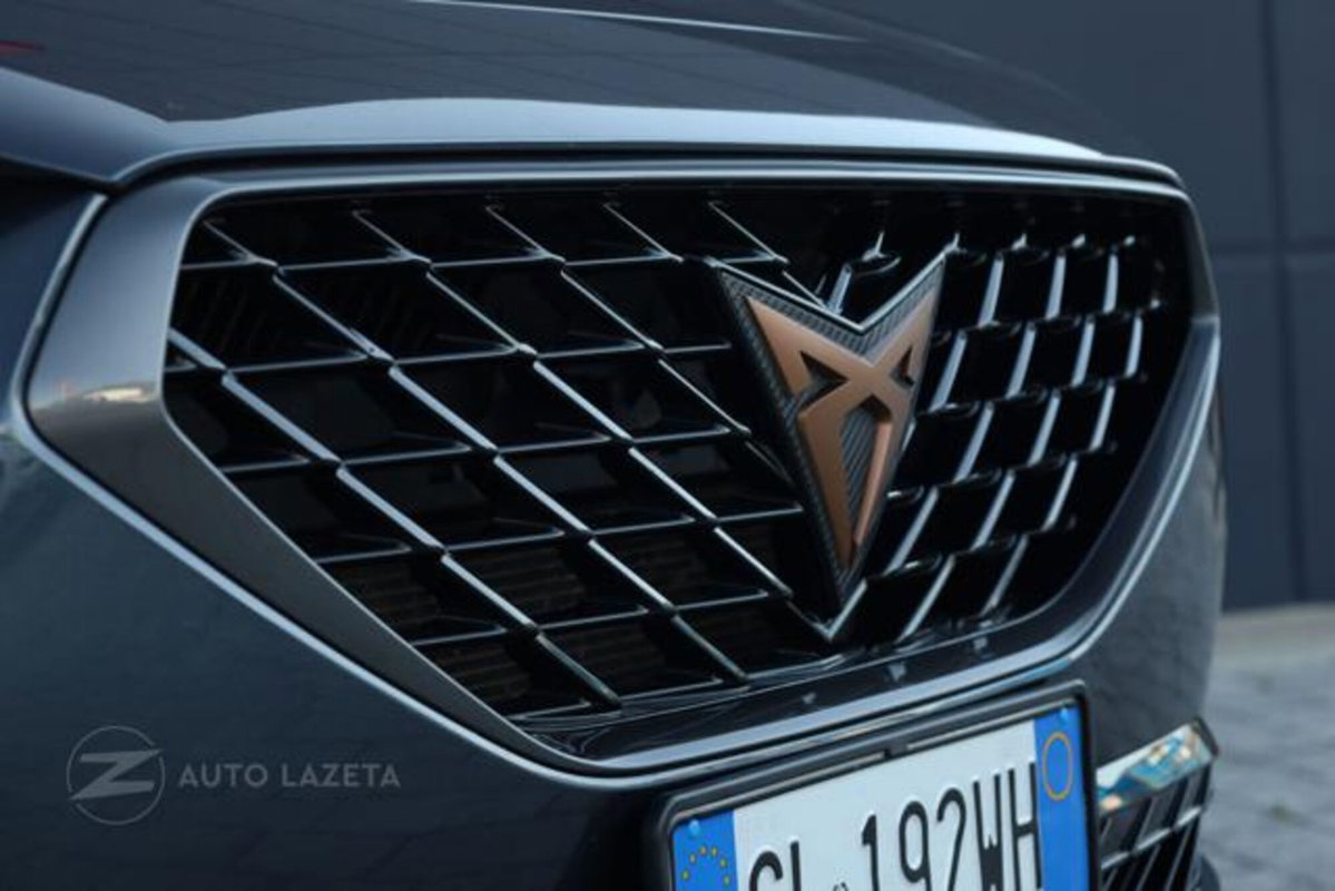 Cupra Formentor Formentor 2.0 TDI (15)