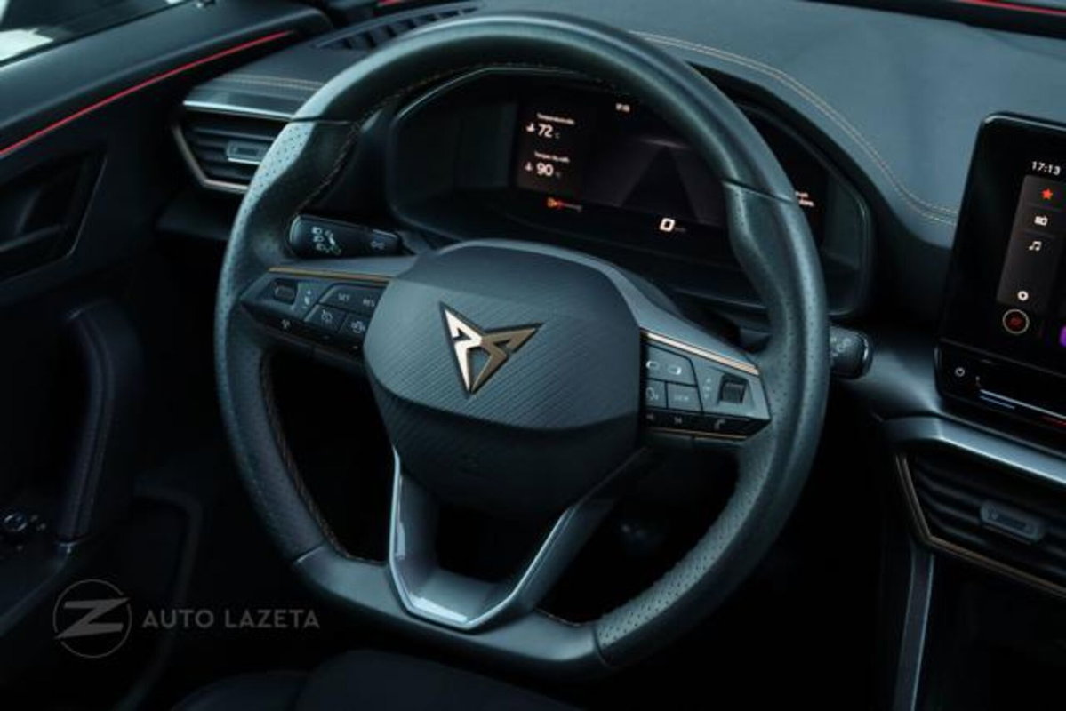 Cupra Formentor Formentor 2.0 TDI (9)