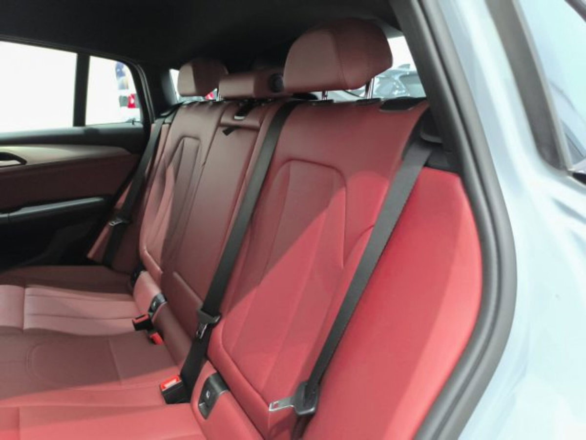 BMW X4 xDrive20d 48V Msport (20)