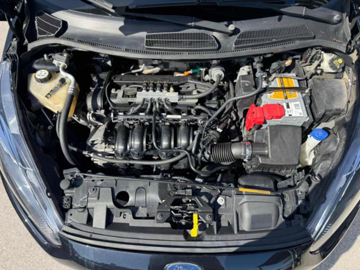 Ford Fiesta 1.4 5 porte Bz.- GPL Titanium (20)