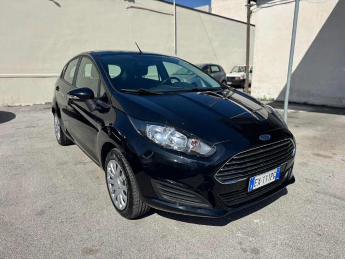 Ford Fiesta 1.4 5 porte Bz.- GPL Titanium (3)
