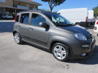 Fiat Panda 1.0 firefly hybrid s&s 70cv usata