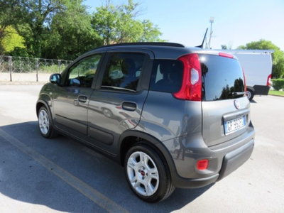 Fiat Panda 1.0 firefly hybrid s&s 70cv (3)