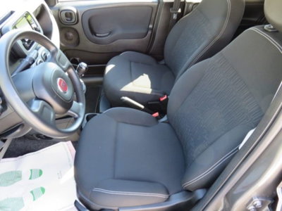 Fiat Panda 1.0 firefly hybrid s&s 70cv (5)