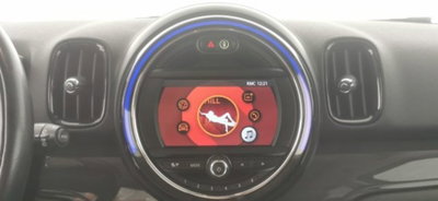 MINI Mini Countryman 2.0 Cooper D Boost Countryman ALL4 Automatica (11)