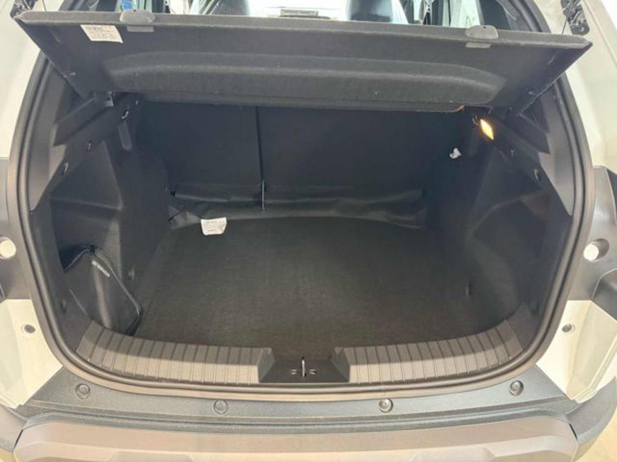 Dacia Duster 1.2 Eco-G Expression 120cv (17)