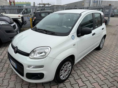 Fiat Panda 1.2 GPL Pop Van 2 posti (4)