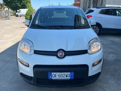 Fiat Panda 1.0 firefly hybrid s&s 70cv (2)