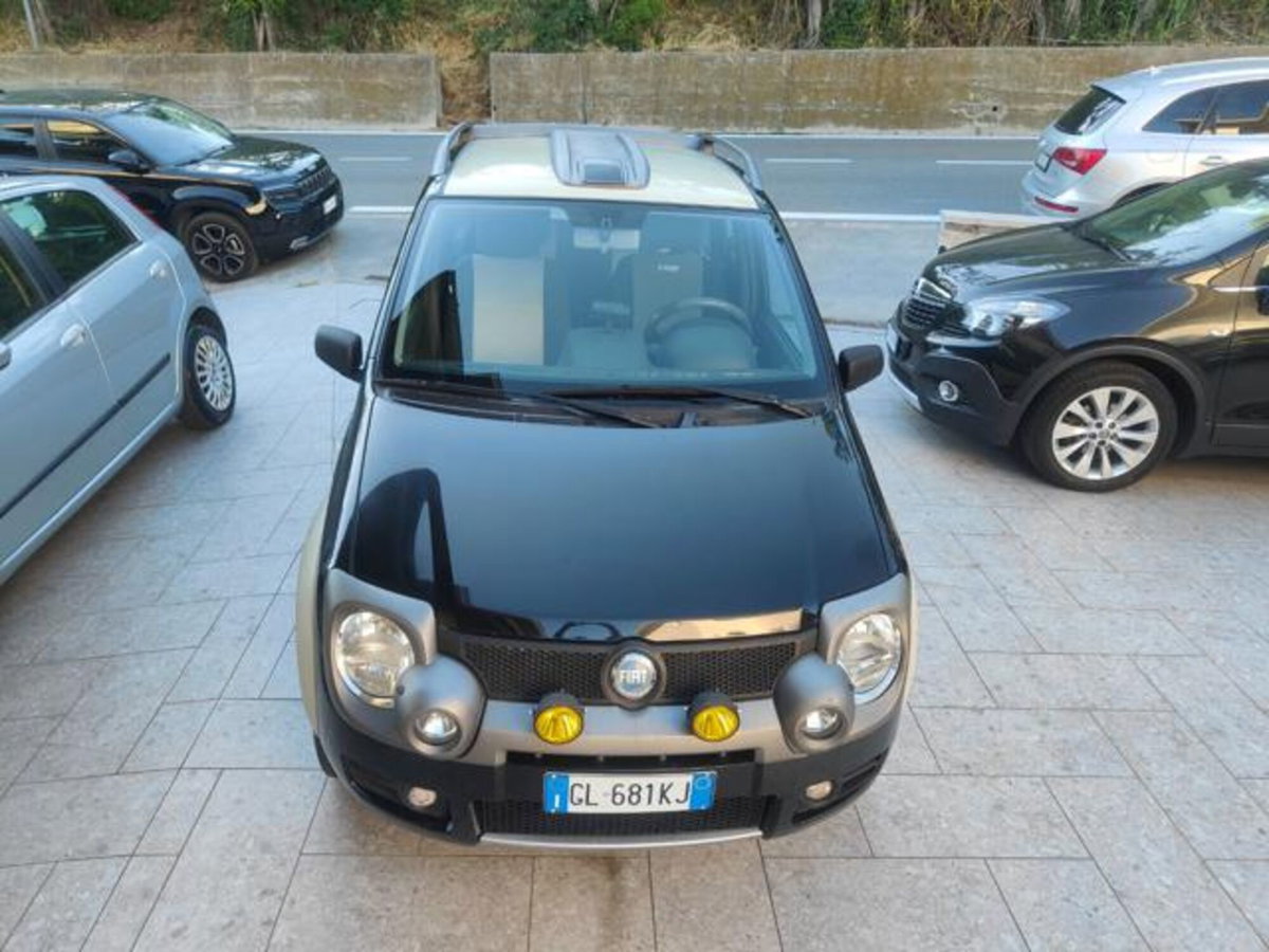 Fiat Panda 1.3 MJT 16V 4x4 Cross (4)