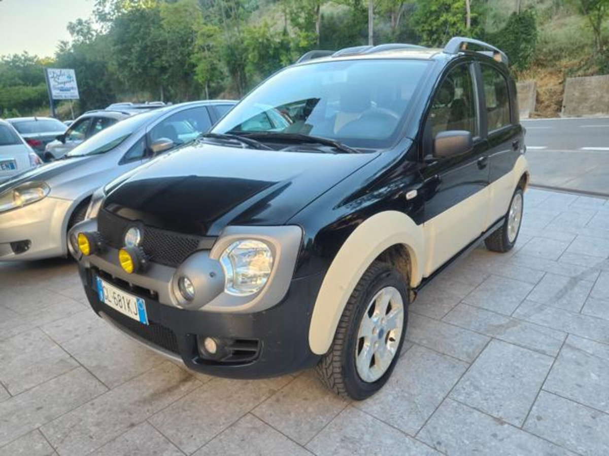 Fiat Panda 1.3 MJT 16V 4x4 Cross (5)