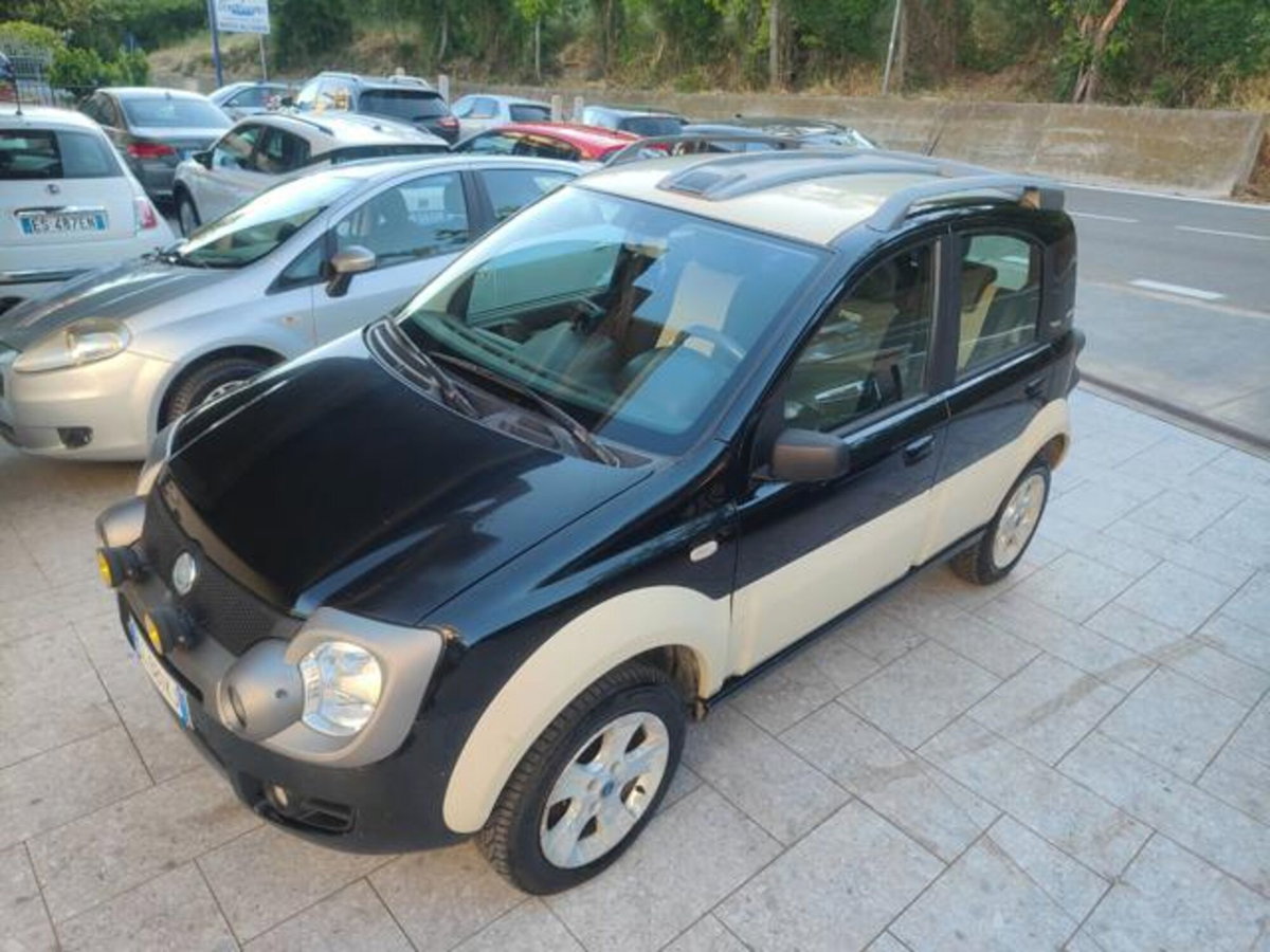 Fiat Panda 1.3 MJT 16V 4x4 Cross (6)