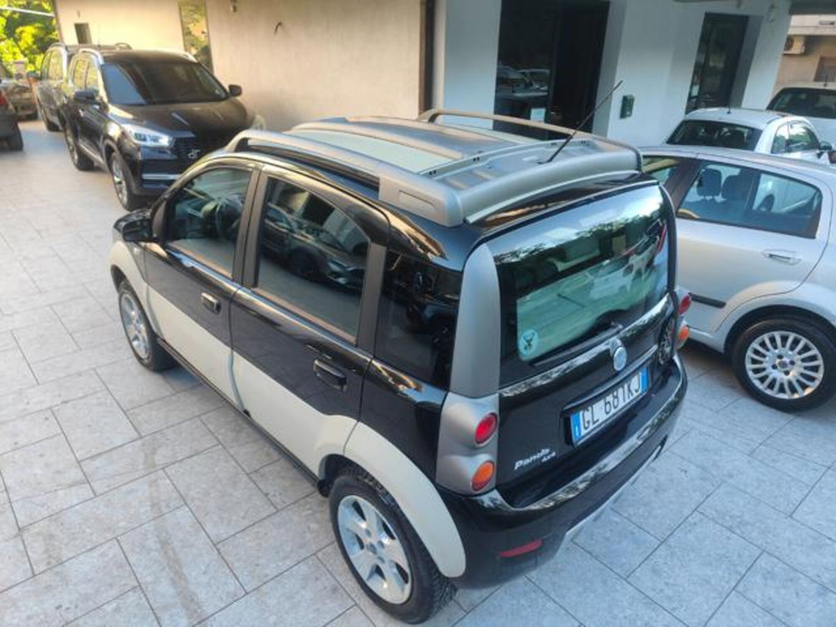 Fiat Panda 1.3 MJT 16V 4x4 Cross (8)