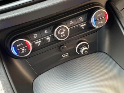 Alfa Romeo Stelvio Stelvio 2.0 Turbo 280 CV AT8 Q4 Veloce (17)