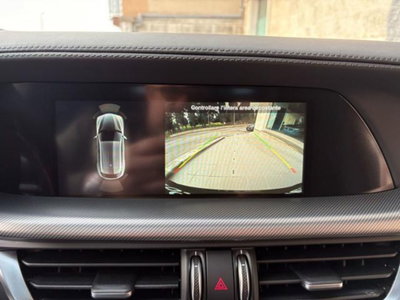 Alfa Romeo Stelvio Stelvio 2.0 Turbo 280 CV AT8 Q4 Veloce (19)