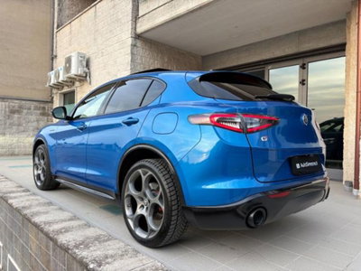 Alfa Romeo Stelvio Stelvio 2.0 Turbo 280 CV AT8 Q4 Veloce (7)
