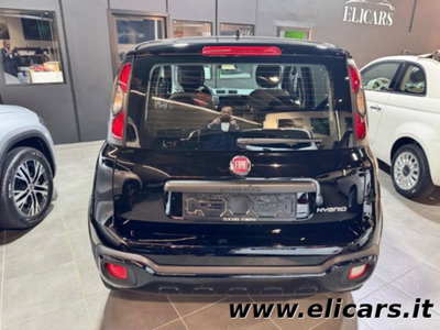 Fiat Panda Cross 1.0 firefly hybrid Cross s&s 70cv 5p.ti (3)