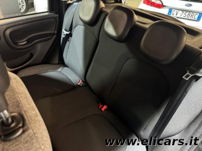 Fiat Panda Cross 1.0 firefly hybrid Cross s&s 70cv 5p.ti (6)