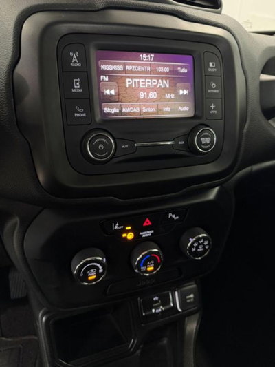 Jeep Renegade 1.6 Mjt 130 CV Longitude (14)