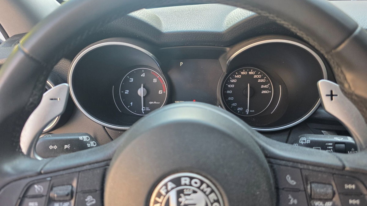 Alfa Romeo Stelvio Stelvio 2.2 Turbodiesel 210 CV AT8 Q4 Super (10)