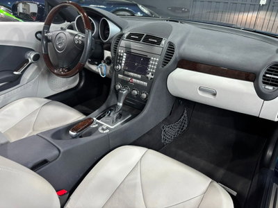 Mercedes-Benz SLK 350 cat (10)