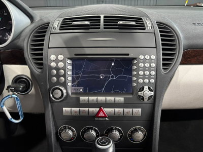 Mercedes-Benz SLK 350 cat (11)