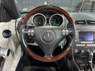 Mercedes-Benz SLK 350 cat (12)