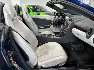 Mercedes-Benz SLK 350 cat (13)