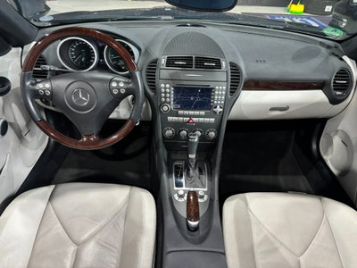 Mercedes-Benz SLK 350 cat (14)