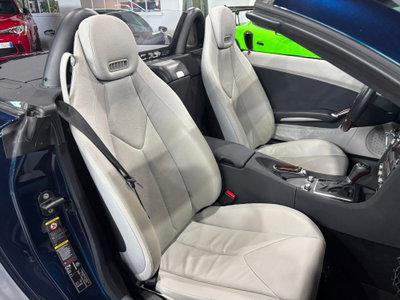 Mercedes-Benz SLK 350 cat (15)