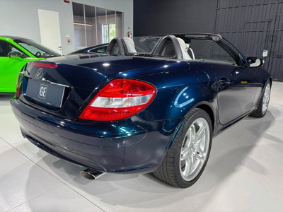 Mercedes-Benz SLK 350 cat (2)
