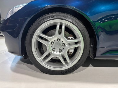 Mercedes-Benz SLK 350 cat (3)