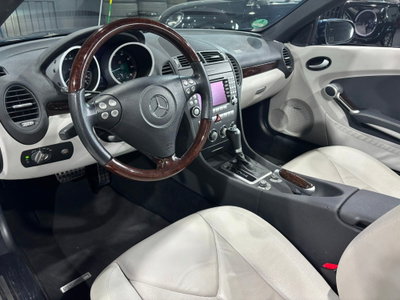 Mercedes-Benz SLK 350 cat (8)