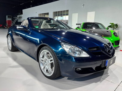 Mercedes-Benz SLK 350 cat (9)