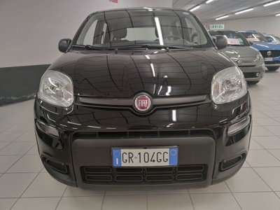 Fiat Panda 1.0 FireFly S&S Hybrid Easy (2)