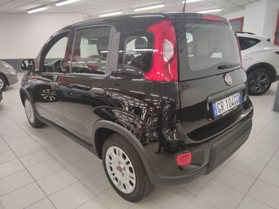Fiat Panda 1.0 FireFly S&S Hybrid Easy (6)