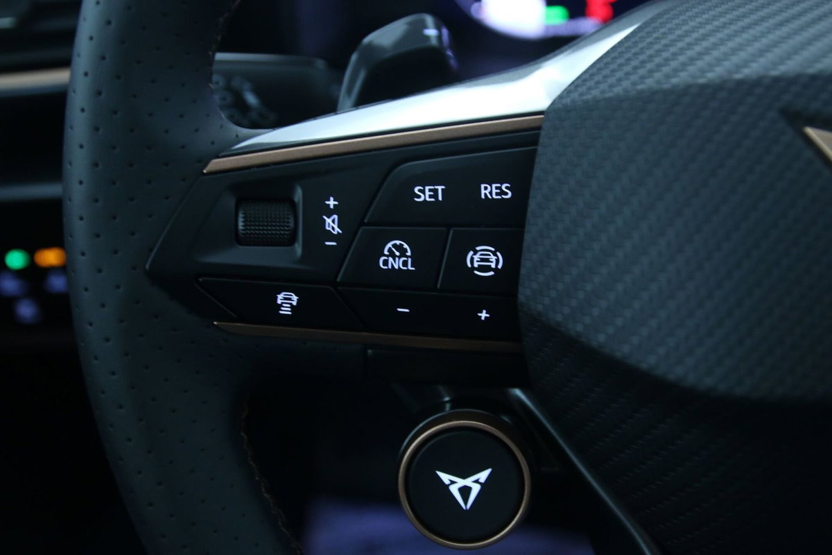 Cupra Formentor Formentor 1.5 TSI (20)