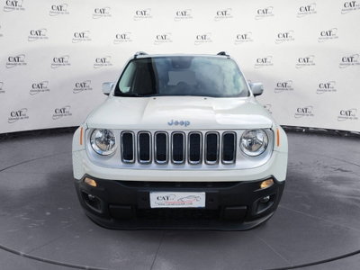 Jeep Renegade 1.6 Mjt 120 CV Limited (3)