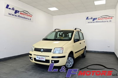 Fiat Panda 1.2 Dynamic usata