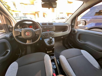 Fiat Panda 1.0 firefly hybrid s&s 70cv 5p.ti (11)