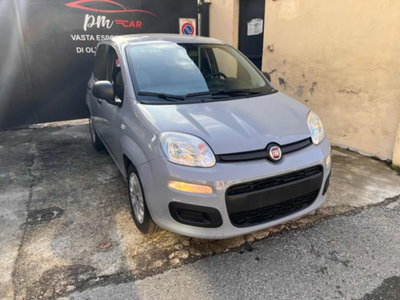 Fiat Panda 1.0 firefly hybrid s&s 70cv 5p.ti (3)