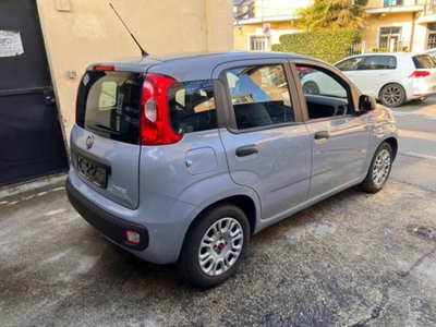 Fiat Panda 1.0 firefly hybrid s&s 70cv 5p.ti (4)