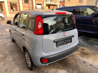 Fiat Panda 1.0 firefly hybrid s&s 70cv 5p.ti (6)