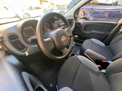 Fiat Panda 1.0 firefly hybrid s&s 70cv 5p.ti (7)
