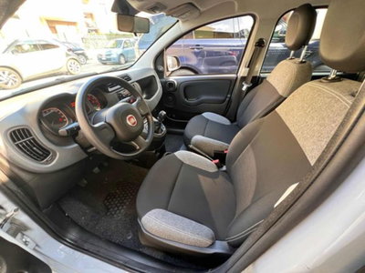 Fiat Panda 1.0 firefly hybrid s&s 70cv 5p.ti (8)