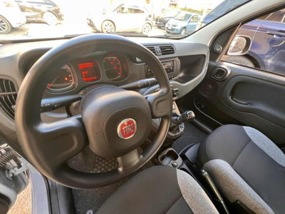 Fiat Panda 1.0 firefly hybrid s&s 70cv 5p.ti (9)