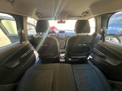 Ford B-Max B-Max 1.6 105 CV Powershift Titanium (14)