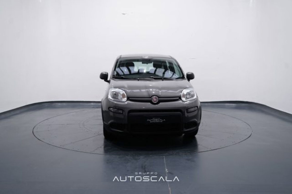 Fiat Panda 1.0 firefly hybrid s&s 70cv 5p.ti (2)