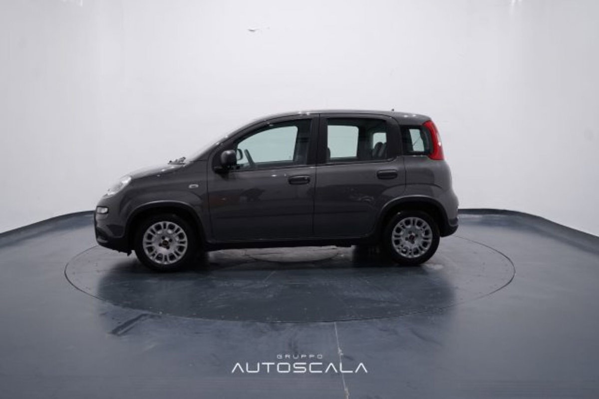 Fiat Panda 1.0 firefly hybrid s&s 70cv 5p.ti (3)