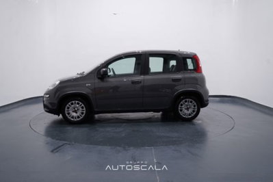 Fiat Panda 1.0 firefly hybrid s&s 70cv 5p.ti (3)