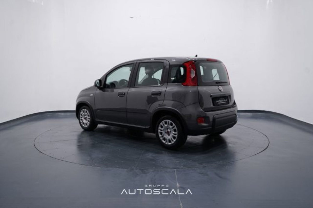 Fiat Panda 1.0 firefly hybrid s&s 70cv 5p.ti (4)